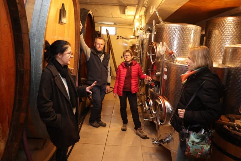 « Faire du bon vin ne suffit plus » – Sibylle farine – dna