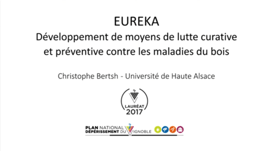 Développer des moyens de lutte curative et préventive contre les maladies du bois
