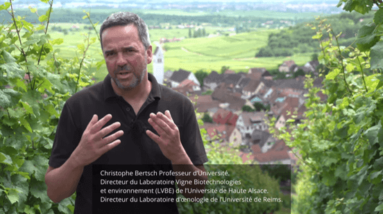 Christophe BERTSCH PRIX GUY OURISSON 2021