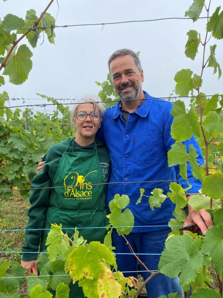 Vins Bertsch et Farine - BF - Le Grand cru Wineck Schlossberg - Alsace